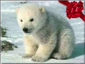 red bow polar bear